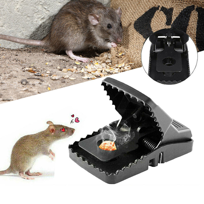 Trappole per topi efficaci senza uccidere, Trappola per topi efficace,  Trappola per muloti